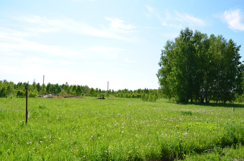 Ижс. Ижс новосибирска. Посёлок степной новосибирская область пашино. Алексеевка новосибирская область слобода. Снт марусино новосибирск.