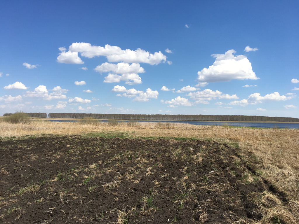 Погода в каменноозерском в богдановичском. Озеро Каменное Свердловская область Богдановичский. Деревня Каменное озеро Свердловская область. Каменноозерское озеро. Село Каменоозерское Богданович.