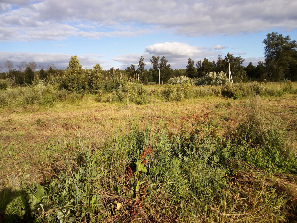 Участок красное. Село красный Яр Тогучинского р-на. В 0449 Яр. Купить участок в Красном Яре Новосибирская область.