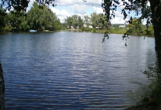 Мы остановились озера. Озеро в Кудряшах Новосибирск. Озеро Кривое Новосибирская область. Остров Кудряш Новосибирск. Поселок Кудряши Новосибирская область.