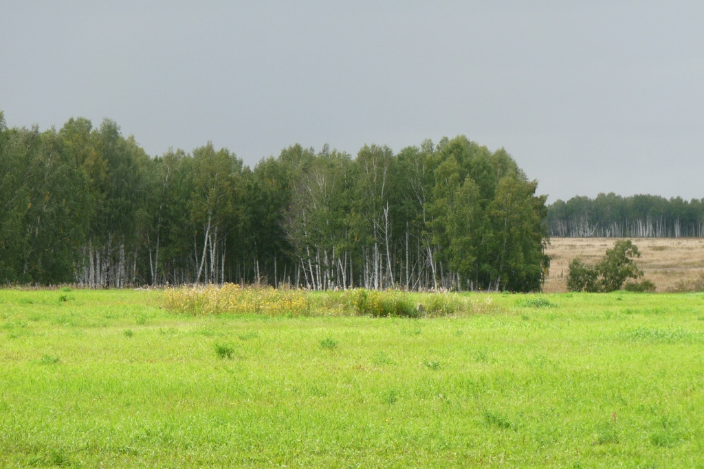Земельный участок в красноярском крае