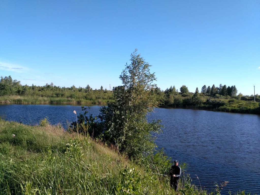 Погода кривые озерах. Озеро Кривое Новосибирская область. Озеро Криводановка Новосибирск. Река Криводановка. Озеро Кривое в Криводановке.