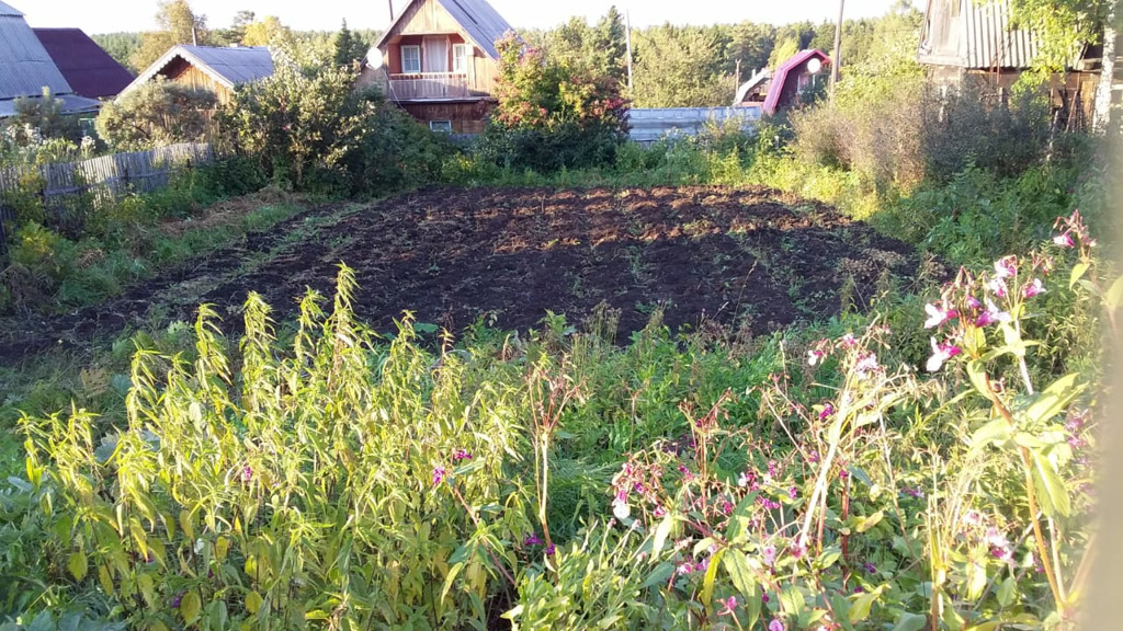 Земельные участки красноярск. СНТ жарки 1 Красноярск Пугачево.