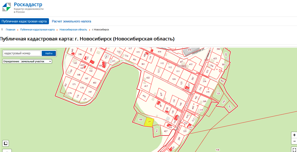 Карта раздольное новосибирская область