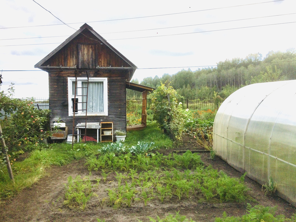 Продам участок в товариществе. СНТ «тихие зори» Пьер. СНТ Заря Пупышево. Дачные участки в СНТ.