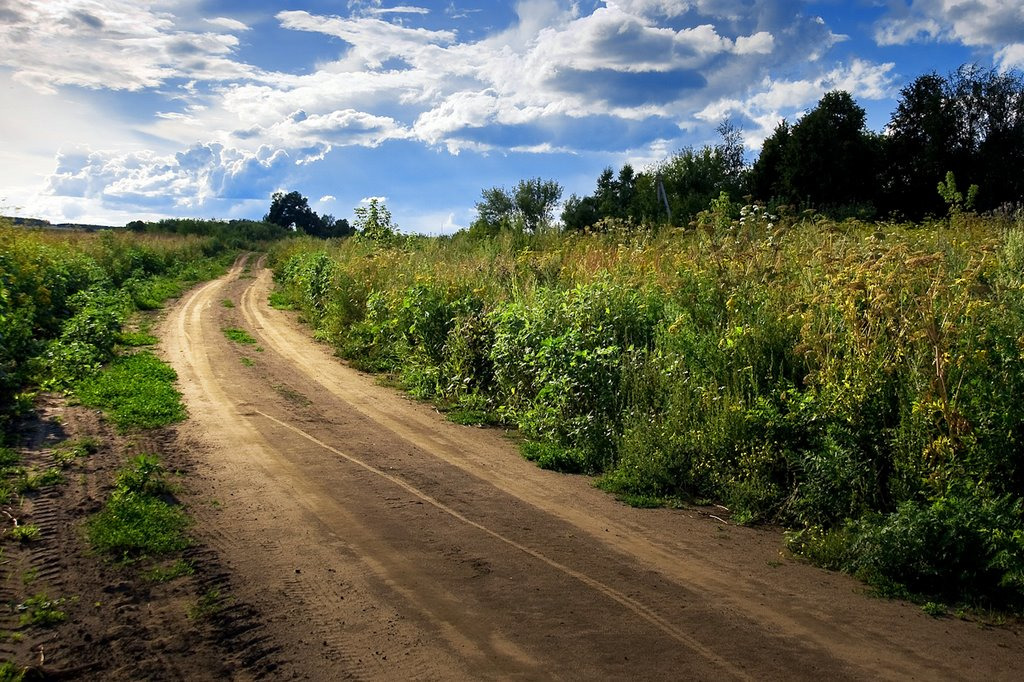 Проселочная дорога фото