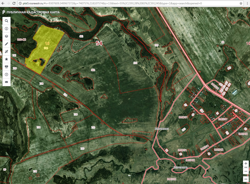 Спутник земельного участка. Мошнино Мошковский район Новосибирская область. Село Мошнино Мошковского района Новосибирской области. Карта Мошковского района со спутника. Площадь Мошковского района.